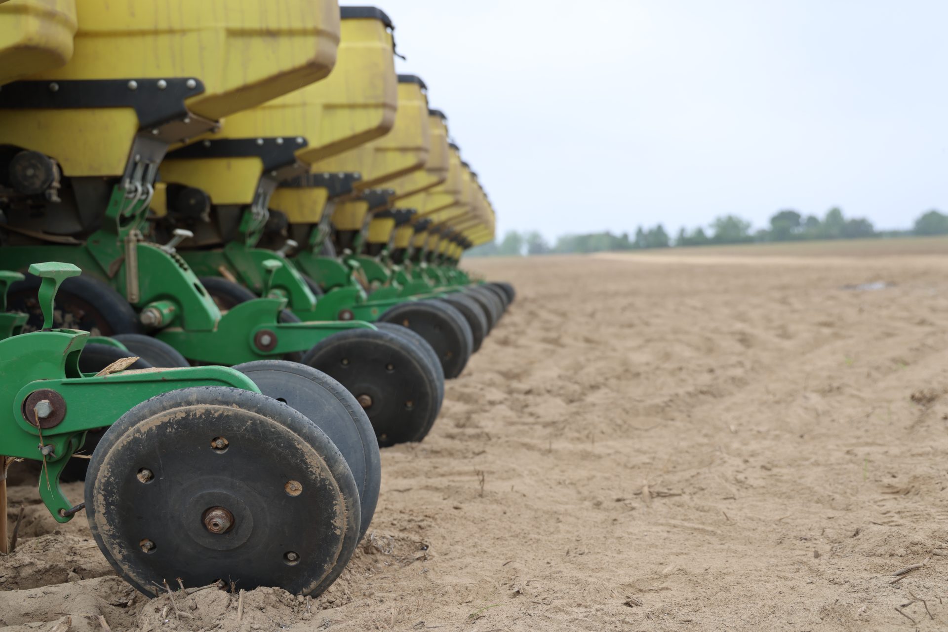 Featured image for “Peanut Planting Considerations – Ways to Address Seeding Rate Issues”